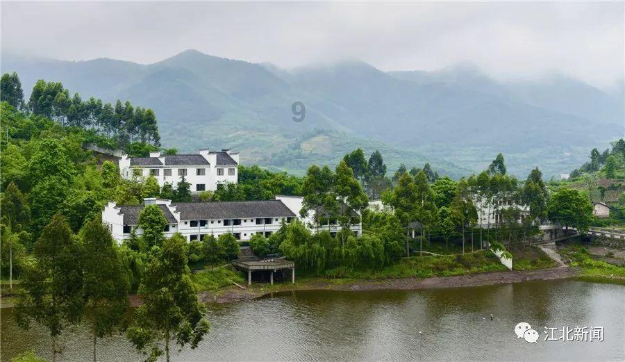 虫虫助手下载