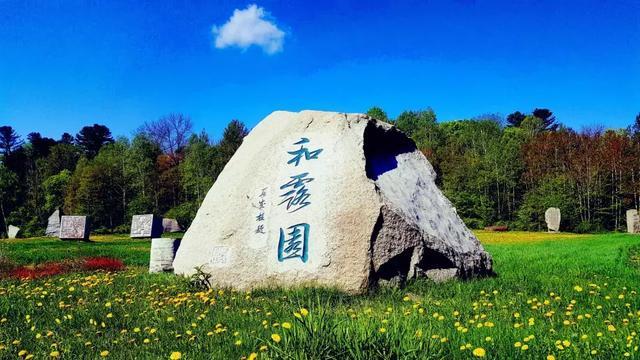 热带天堂找不同