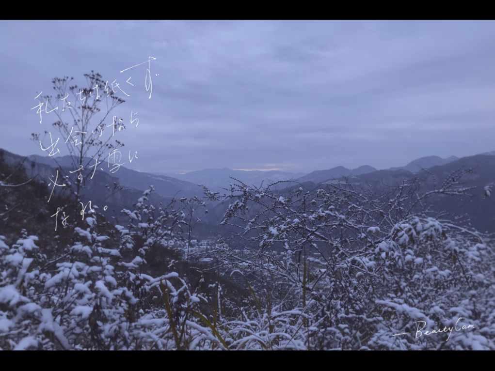 多国发现奥密克戎的亚型变异株，这一变异毒株的传染性有多强？游戏画面